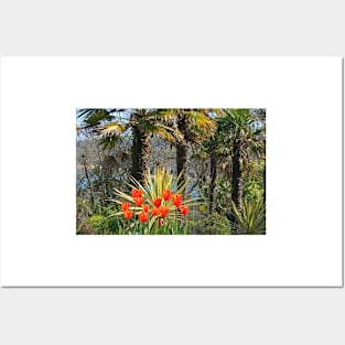 Palms & Tulips Posters and Art